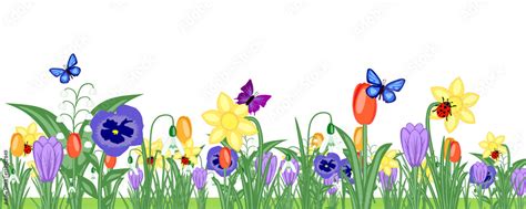 Frühling Blumen isoliert Banner Stock Vektorgrafik Adobe Stock