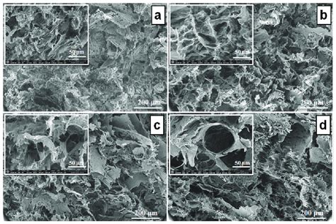 SEM Images Of The PVA XG 80 20 Hydrogel A And The PVA XG 80 20