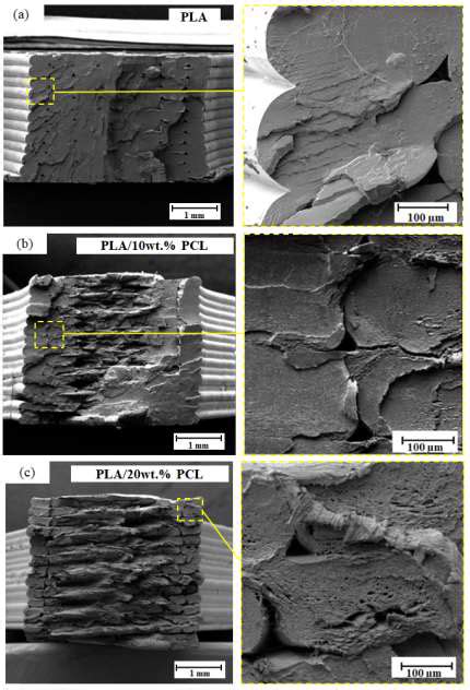 Tensile Fracture Surface Of The Specimens A Neat PLA B 90 10 Blend