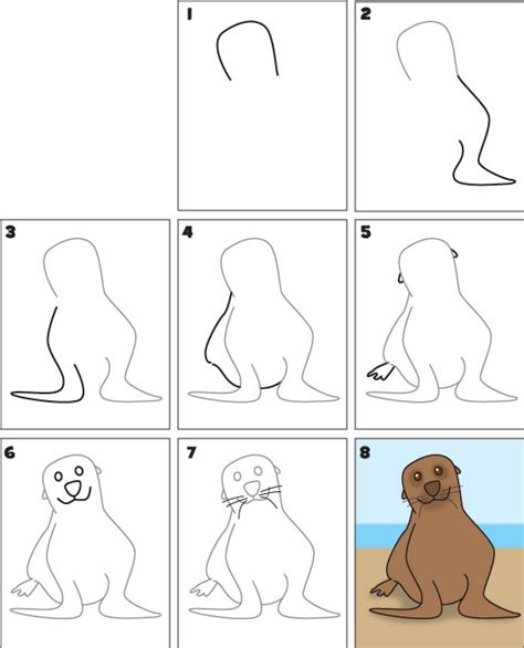 Drawing Mastery: 5 Steps To Bring Sea Lions To Life