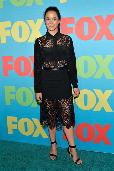 Melissa Fumero Hot Photos Barnorama