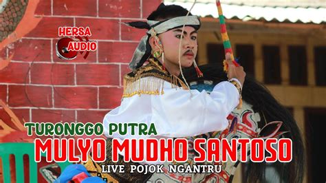 Jaranan Putra Mulyo Mudho Santoso Live Pojok Ngantru Support By Hersa