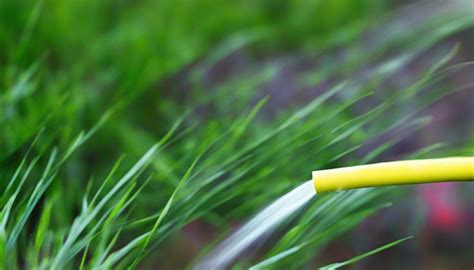 Biogarten Bew Sserungssysteme Idealer Garten Ihr Ratgeber F R