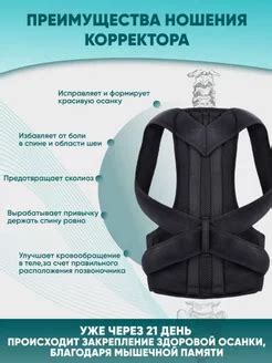 Вид 2.