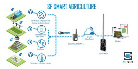 Smart Agriculture Technology Sf System