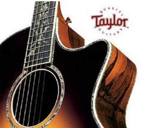 Taylor Acoustic Guitars ~ The Flatpicking Guitarist