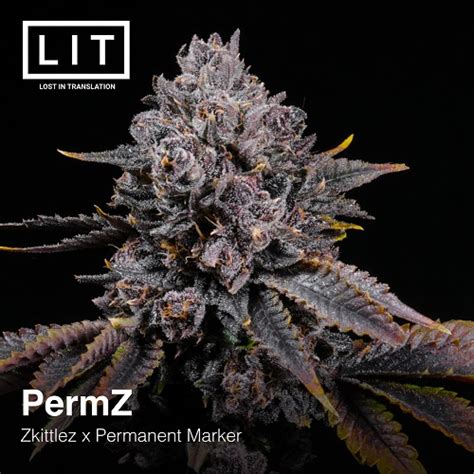 Lit Farms PermZ Half Pack Pre Sale Neptune Seed Bank Cannabis