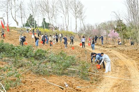 新春添新绿！这项活动有意义！澎湃号·政务澎湃新闻 The Paper