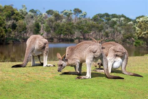 Viaje De Novios A Australia Y Maldivas Nyala Tours Blog Viajes