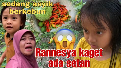 Panen Hasil Kebun Alhamdulillah Untuk Yayasan Yjb Youtube