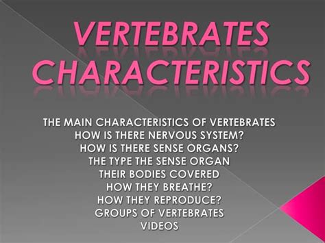 Vertebrates characteristics by Manuela 5ºA | PPT