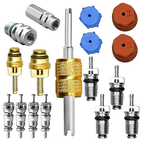 17 Pcs Air Conditioning Valve Core Kit R12 To R134A Conversion Kit