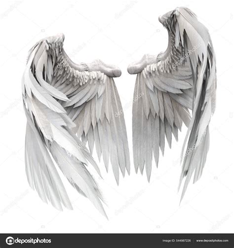 Pair Isolated Angel Wings Feathers White Background Illustration