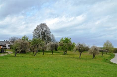 Evropski Dan Travni Kih Sadovnjakov Krajinski Park Gori Ko