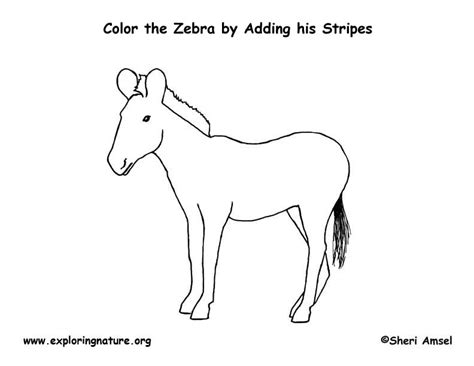 Zebra Coloring Page