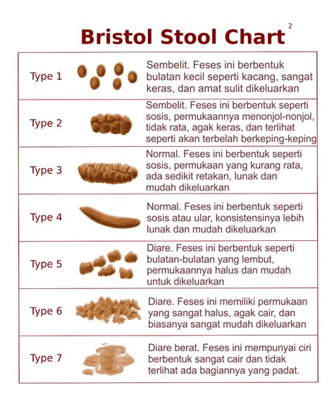 Penyebab Feses Lembek Dan Hanya 2 Kali Dalam Sehari Tanya Alodokter