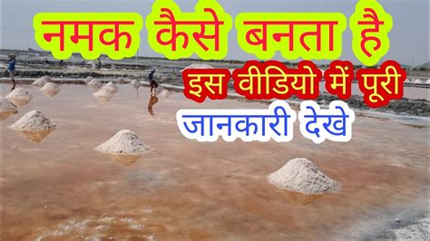 How To Make Salt नमक कैसे बनता है नमक बनने की पूरी वीडियो देखे Youtube