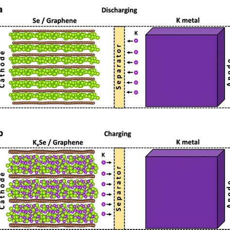 Schematic Representation Of A Selenium Graphene Heterostructure Cathode