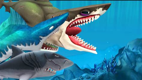 All Megalodon Gameplay In Shark Game Hungry Shark World Evolution