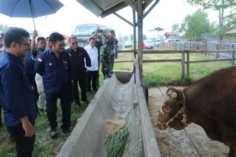 Mentan Dorong Sulsel Jadi Sentral Ternak Berkualitas