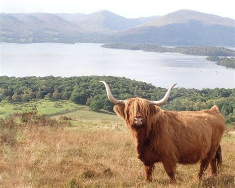 The Ultimate Scottish Bucketlist