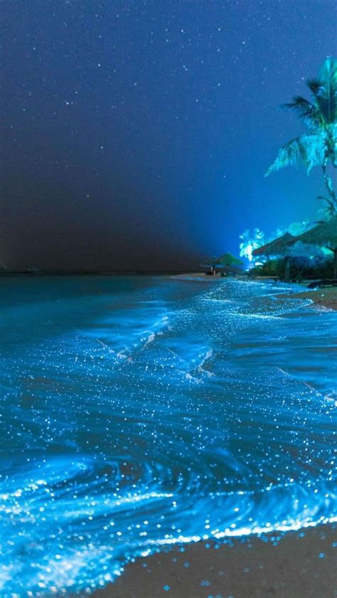 Glowing Beach, Vaadhoo Island in the Maldives | Ocean at night, Dream ...