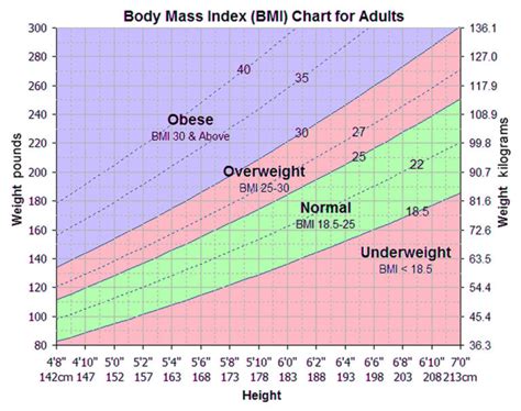 Body Mass Index Chart Formula How To Calculate For Men And Women