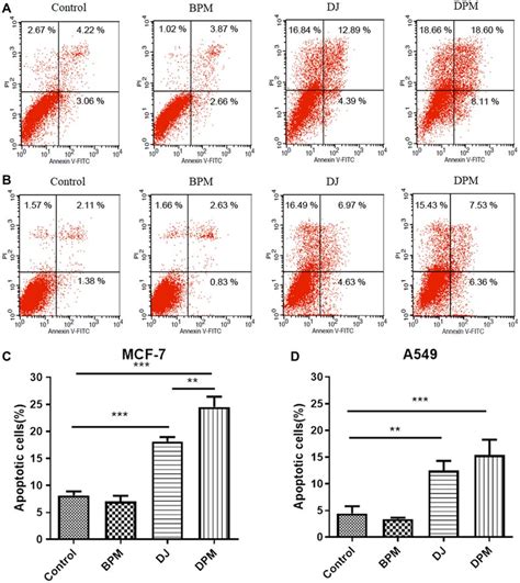 Cell Apoptotic Assay Mcf 7 Cells A And C And A549 Cells B And D