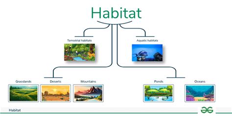 Habitat Adalah On Sale Blog Websoft9