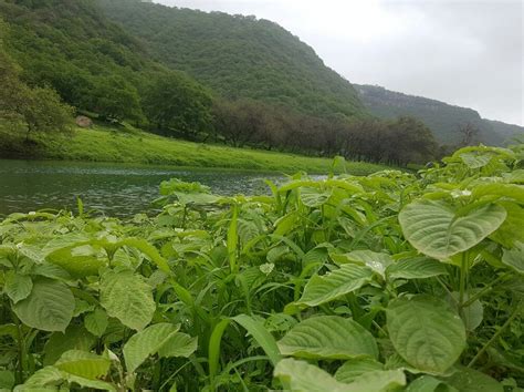 THE 15 BEST Things to Do in Salalah (2025) - Must-See Attractions