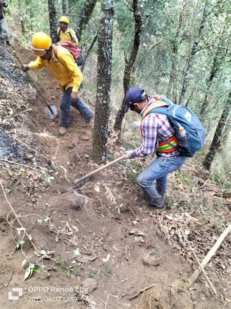 Gem Controlado En Un El Incendio Forestal En El Cerro De