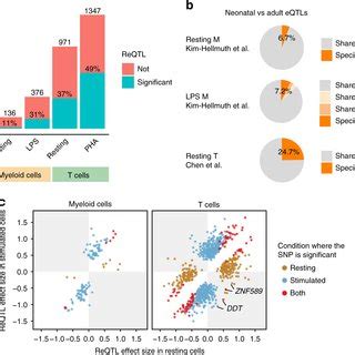 Cis EQTLs And Response EQTLs ReQTLs In Myeloid Cells And T Cells A A