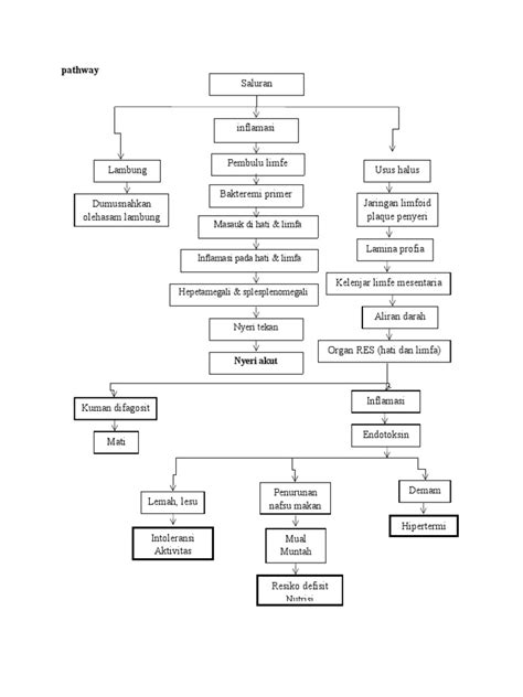 Pathway Demam Thypoid Pdf