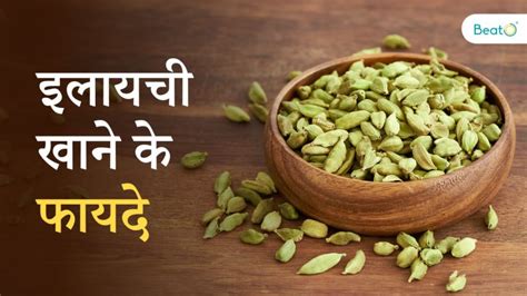 Benefits of Cardamom in Hindi: बस एक इलायची दूर करेगी आपकी अनगिनत ...