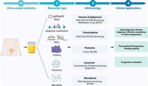 Recent Development Of Urinary Biomarkers For Bladder Cancer Diagnosis