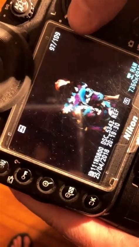 Maitland Ward Naked Pics Gifs Videos PinayFlixx Mega Leaks