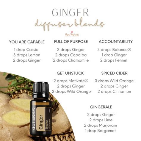 Benefits And 30 Uses For Ginger Essential Oil