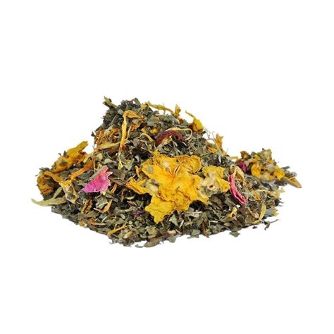 Anise Herbal Tea | Tea Squared