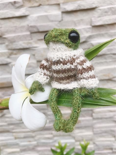 Knitted Frog In Sweater Crochet Froggy In Clothes Frog And Toad Plush