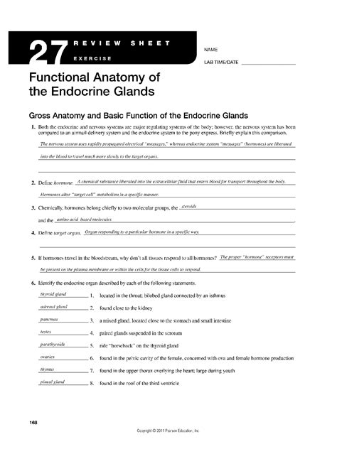 SOLUTION Exercise 27 Functional Anatomy Of The Endocrine Glands