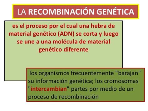 Recombinación Genética