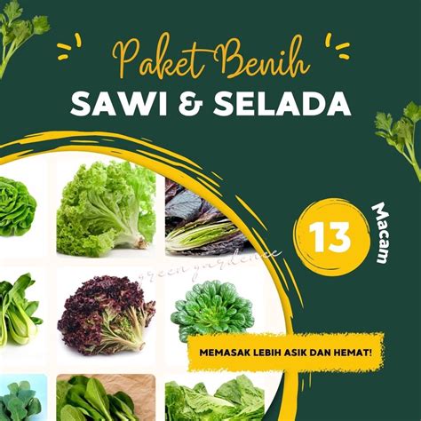 PAKET HEMAT Benih Biji Bibit 13 Jenis Sayuran Sawi Dan Selada Sawi