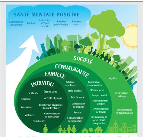 Figure 1 from Surveillance de la santé mentale positive et de ses