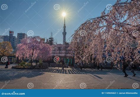 Sensoji Temple editorial photography. Image of market - 114969462