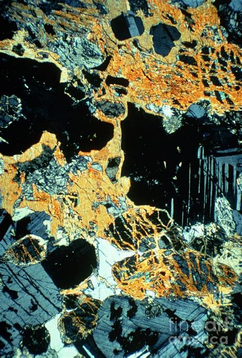 Lm Of Thin Section Of Gabbro Photograph By Jan Hinsch Science Photo Library