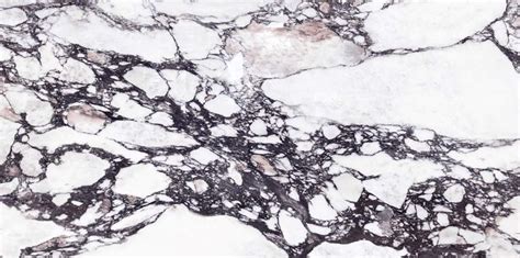 Natura Calacatta Viola Marble Stunning White Marble With Black Veining