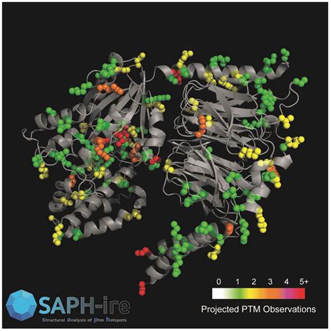 Saph Ire Helps Scientists Prioritize Protein Modification Research