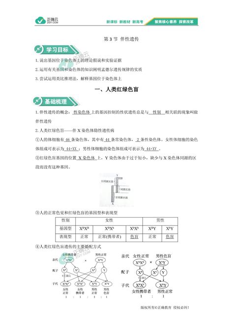 2019 2020学年高中生物人教版（2019）必修二学案：第2章基因和染色体的关系23伴性遗传正确云资源