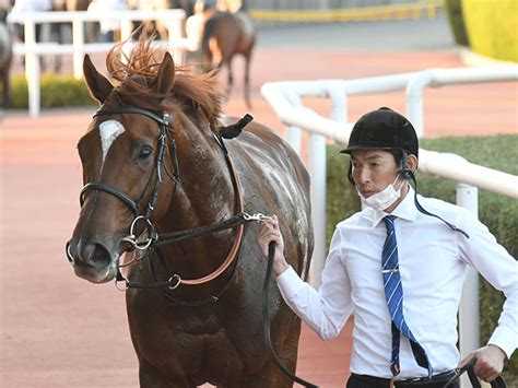 【中日新聞杯出走馬・騎手確定】ラーゴム＆池添謙一騎手、アドマイヤビルゴ＆武豊騎手など18頭 2021年12月9日掲載 ライブドアニュース