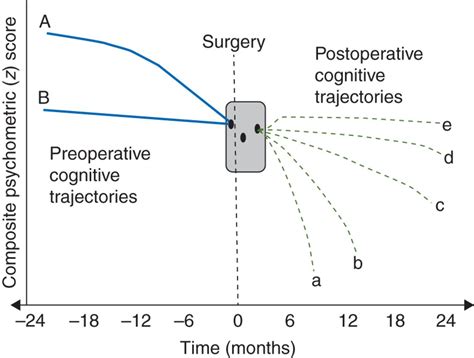 Perioperative Cognitive Trajectory In Adults British Journal Of Anaesthesia